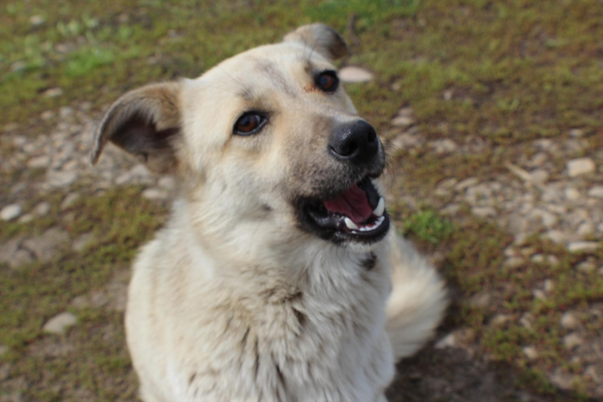 Magura 9 - O alta captura....